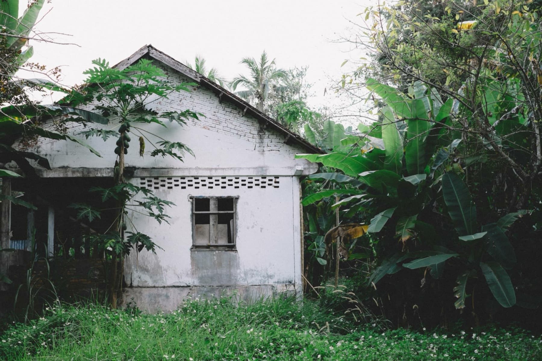 Cambodia — photo 4