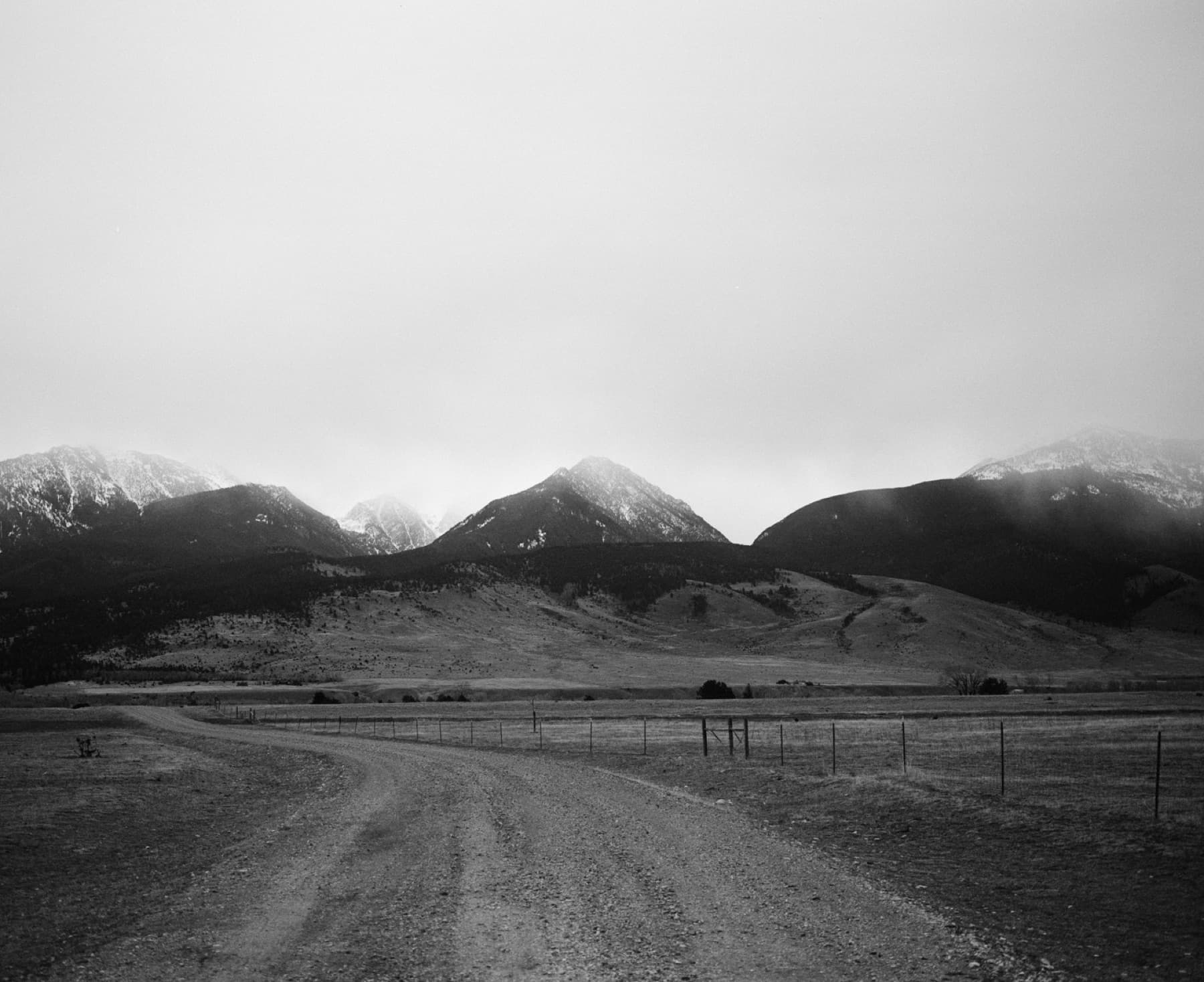Montana — photo 12