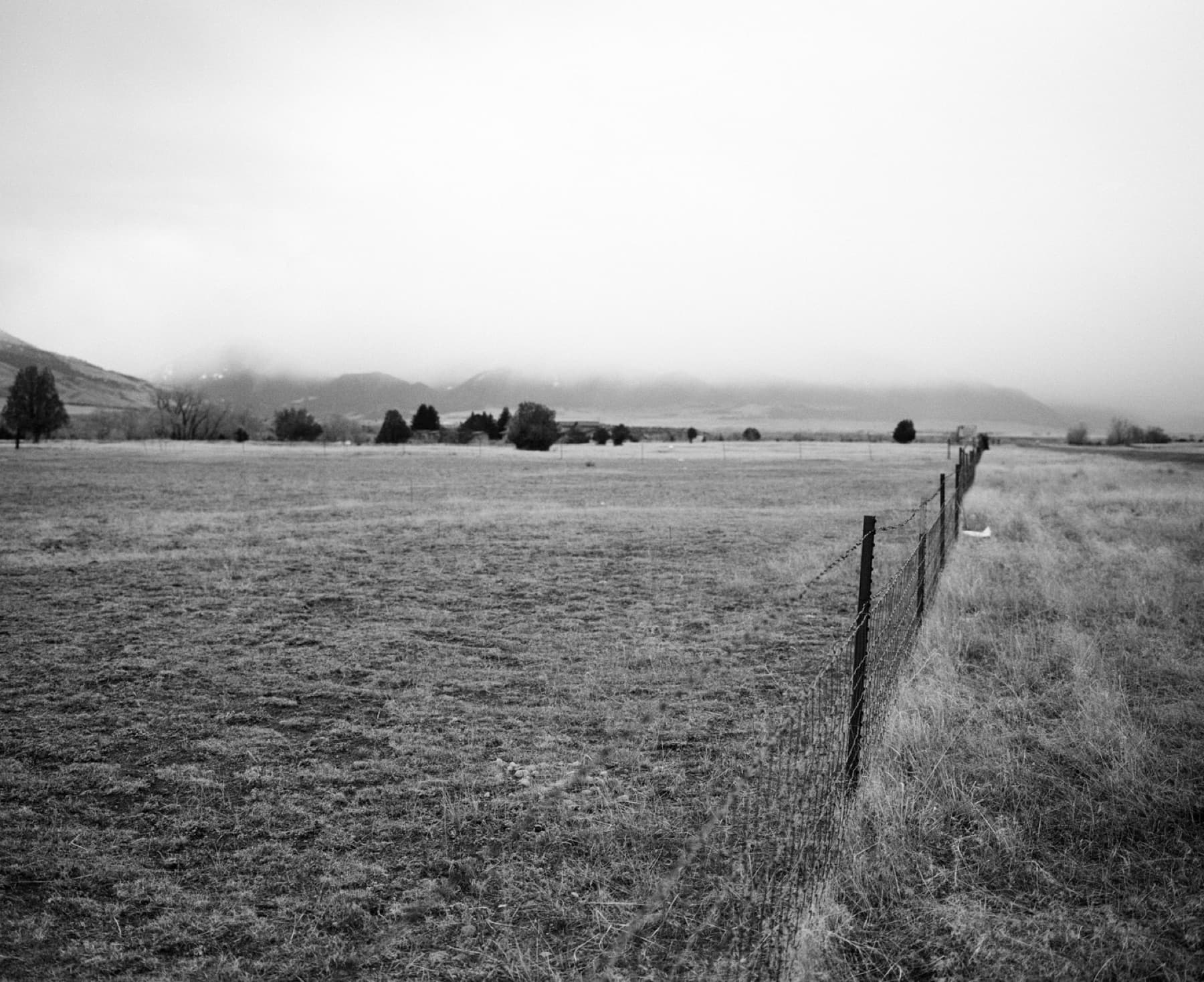 Montana — photo 13