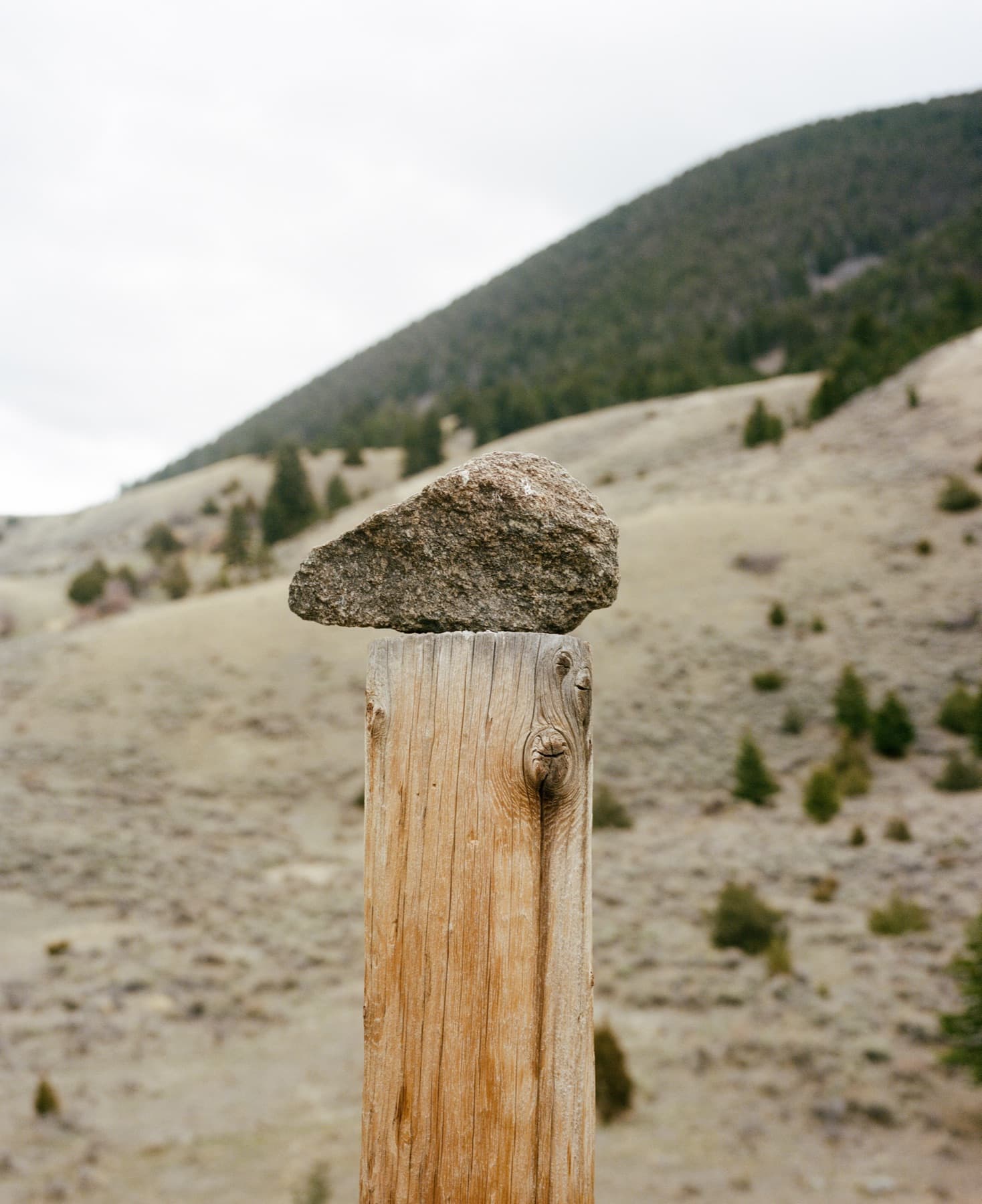 Montana — photo 14