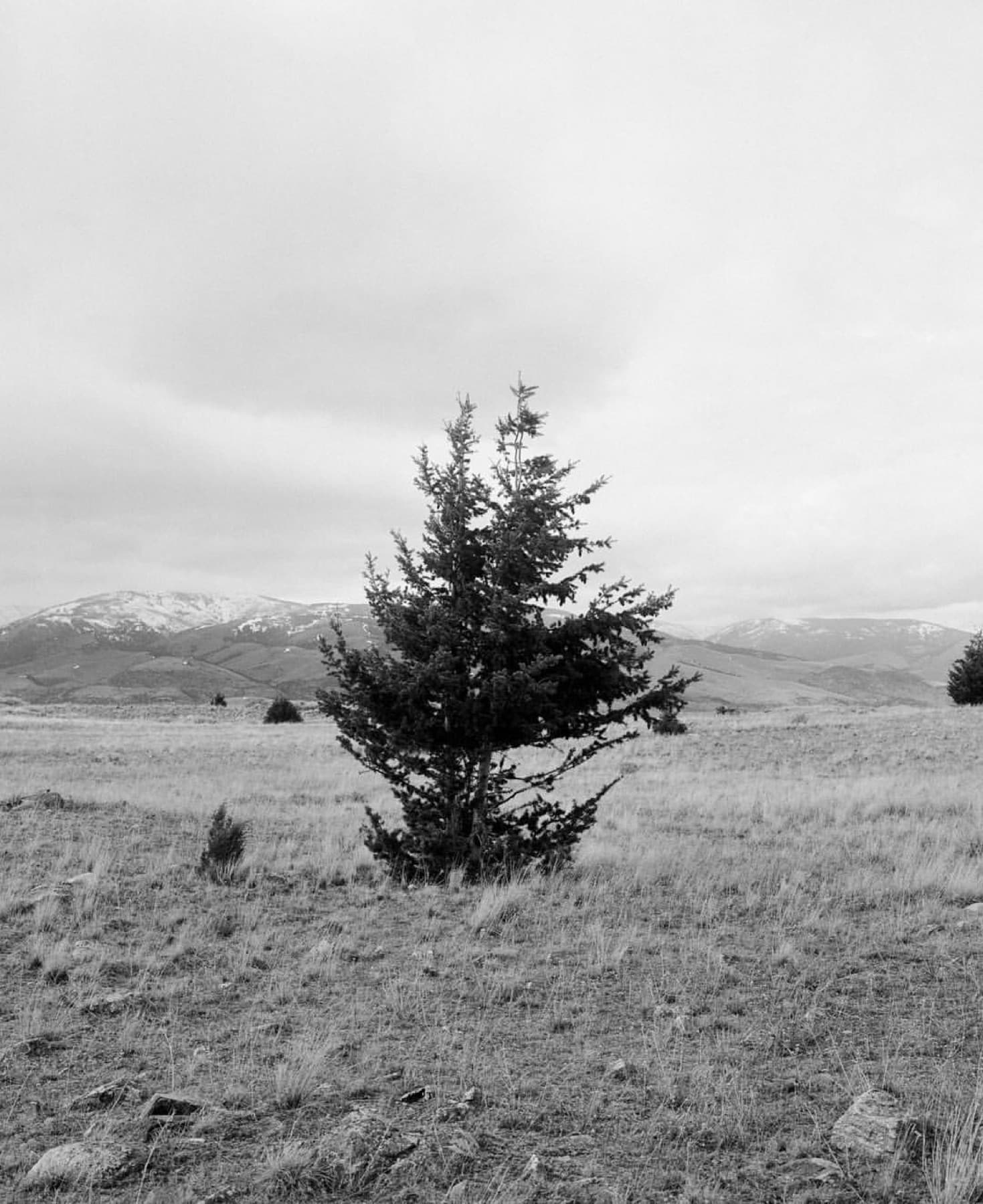 Montana — photo 3
