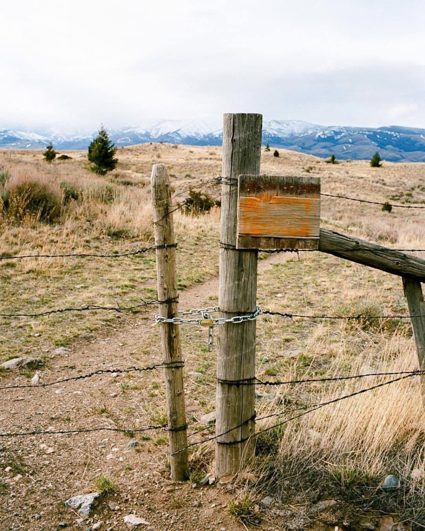 Montana — photo 6