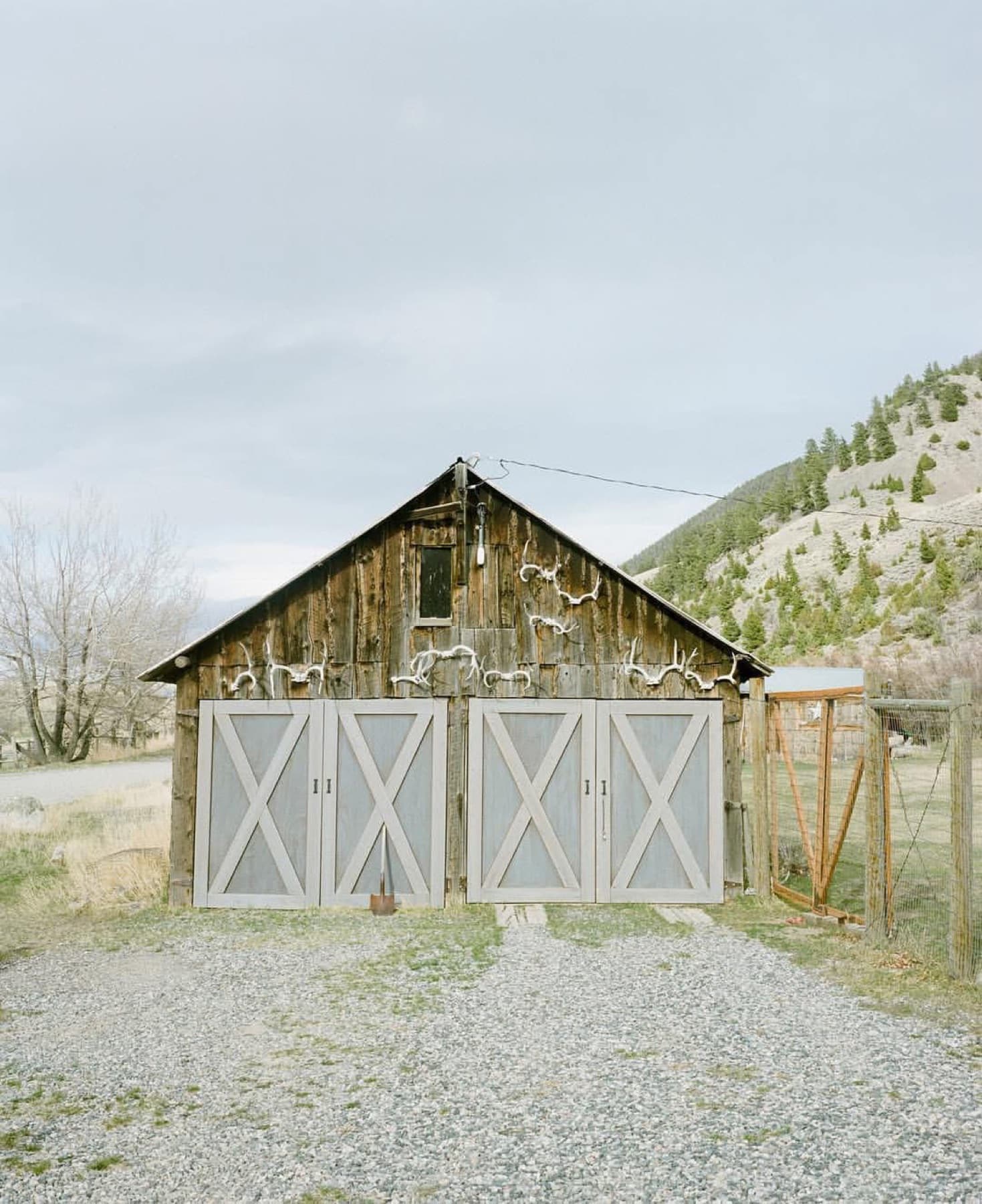 Montana — photo 9