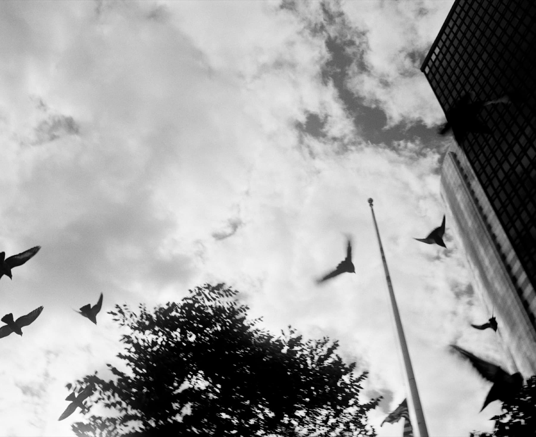 New York — photo 6
